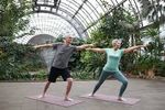 The Importance of Wellness Programs in Senior Living: Benefits & Insights