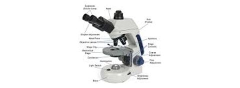 From Microscopes to Metrology: A Deep Dive into Precision Instruments